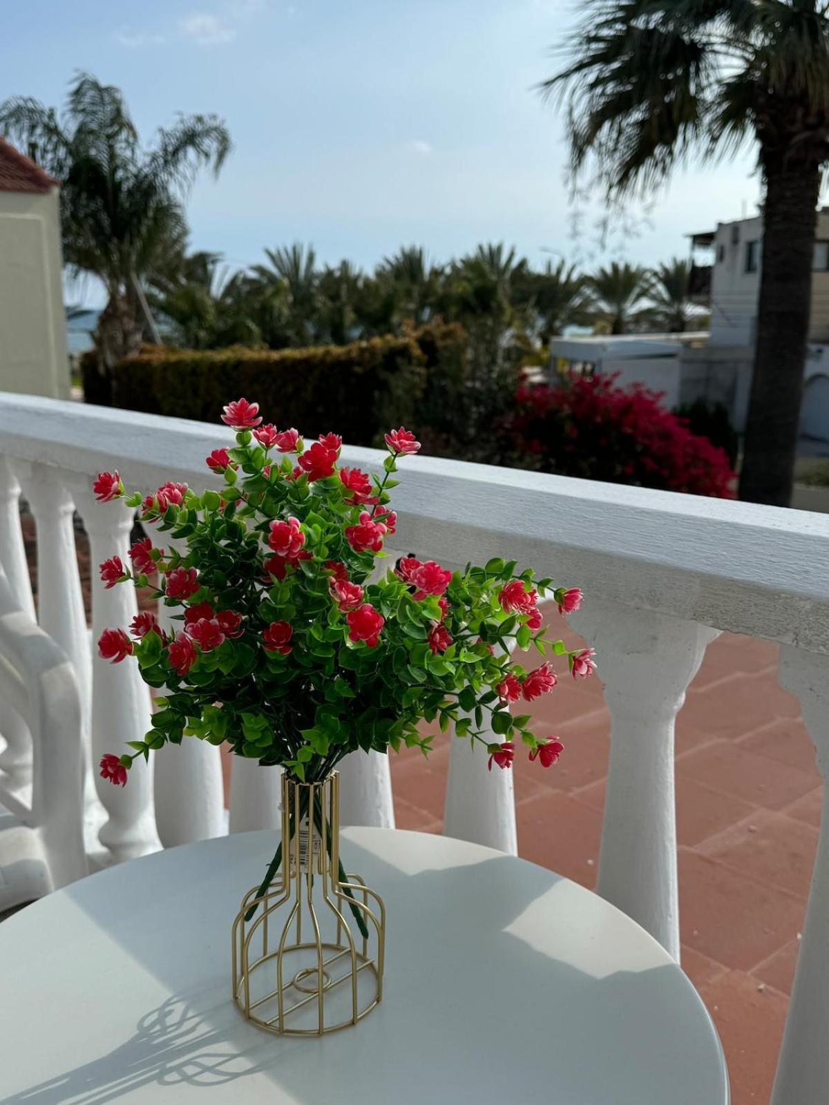 Seaside Serenity Villa Larnaca Exterior photo
