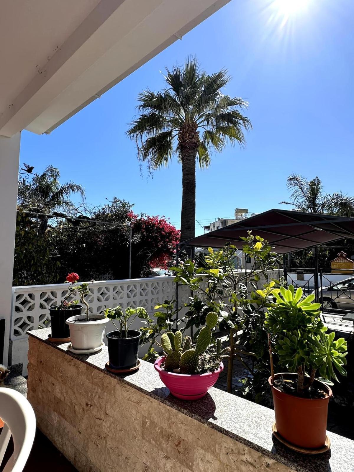 Seaside Serenity Villa Larnaca Exterior photo